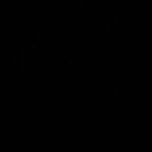 Meet your Posher, Carter